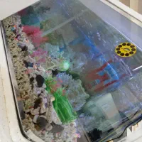 اکواریوم شیشه خم