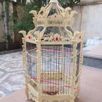 قفس پرنده