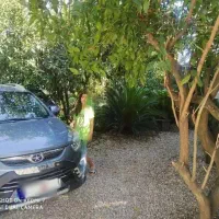 جک اس5اتومات مدل 97|خودرو سواری و وانت|شریفآباد, |دیوار