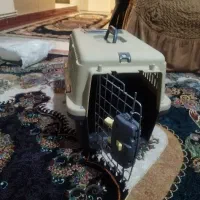 باکس پت