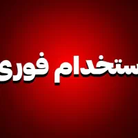 نیروی کار خانم یا آقا در حوزه فروش با درآمد بالا