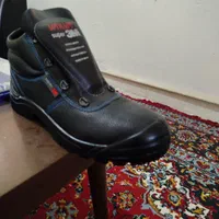 کفش کارسایز43