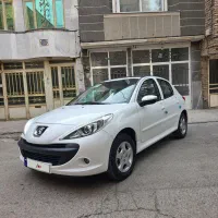 207 پانا 1403 کم کار