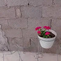 پایه گلدان و شلنگ|صنایع دستی و سایر لوازم تزئینی|کوچصفهان, |دیوار