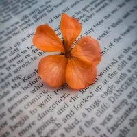 فوری نیازمند ضامن با رتبه aیاbهستم