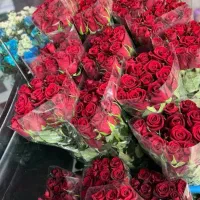 گل رز طبیعی ونرگس|گل و گیاه طبیعی|بندرعباس, |دیوار