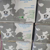 کشک گاورس