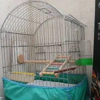 قفس پرنده بزرگ طوطی سان،همراه با سریلاک و لوازم