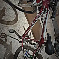 دوچرخه ویوا ۲۶ سند دار|دوچرخه، اسکیت، اسکوتر|اسفراین, |دیوار