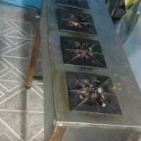 سینک ظرفشویی واجاق 4شعله|کافی‌شاپ و رستوران|تهران, تهرانسر غربی|دیوار