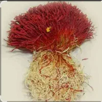 زعفران سرگل بهاباد به شرط رضایت مشتری|خوردنی و آشامیدنی|یزد, |دیوار