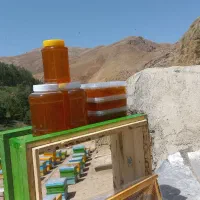 عسل طبیعی
