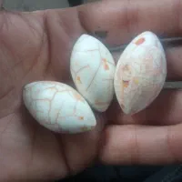 یاقوت هندی|جواهرات|گرگان, |دیوار