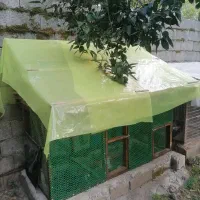 قفس پرنده