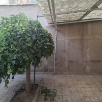 فروش منزل مسکونی قابل سکونت و باز سازی شده|فروش خانه و ویلا|اصفهان, پوریای ولی|دیوار