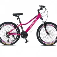 انواع مدل دوچرخه دخترانه