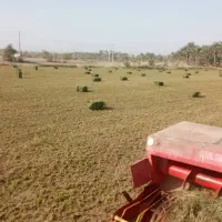 پرس یونجه|کلکسیون و سرگرمی|رودخانه, |دیوار