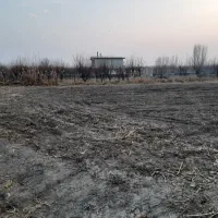 باغ  باغچه زمین کشاورزی در  آرنسا