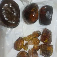 کهربا کوپال