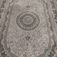 فرش 9متری|فرش|رشت, دیانتی|دیوار