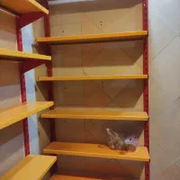 کولر و قفسه|کولر آبی|قم, شهرک فاطمیه|دیوار