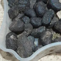 عنبر نسا  اصل|آرایشی، بهداشتی، درمانی|خلخال, |دیوار