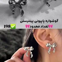 اکسسوری های خاص|بدلیجات|کرج, باغستان|دیوار