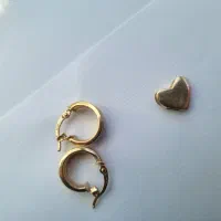 پلاک و گوشواره