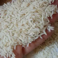 برنج هاشمی اصل معطر مجلسی