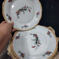 بشقاب برنج خوری بزرگ