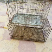 قفس.جفت کن کفتر و عروس هلندی|لوازم جانبی حیوانات|امیدیه, |دیوار