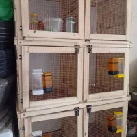 توری جفتگاه