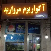 تابلو چلنیوم دوربین مدار بسته دزدگیر اماکن|خدمات پیشه و مهارت|مشهد, سعد آباد|دیوار