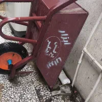 فرقون در حد نو