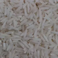 برنج دم سیاه یا صدری