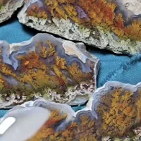 سنگ شجر بهار