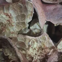 پوست انار
