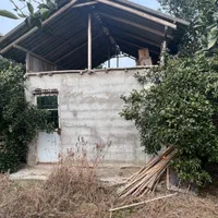 ۷ هزار متر باغ با کنتور برق و چاه با مجوز / آلونک|فروش زمین و ملک کلنگی|کیاکلا, |دیوار