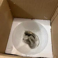 لوستر اتاق خواب|لوستر و چراغ آویز|ری, صفاییه (چشمه علی)|دیوار