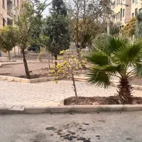 سگ در فاز صفر|سگ|پرند, فاز ۱|دیوار