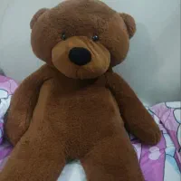 خرس دو متری