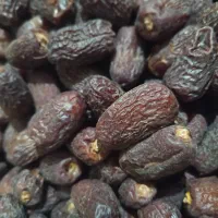 کپک ،هارک ، جاهین|خوردنی و آشامیدنی|سراوان, |دیوار