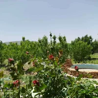 اجاره ویلا باغ