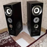 یک جفت باند میکرو لب