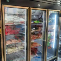 فروشنده و خریدار یخچال صنعتی در تمام نقاط