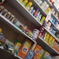 مواد غذایی شوینده