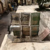 قفس پرنده بزرگ