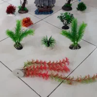 گران نخرید لوازم ارزان‌ آکواریم|ماهی|ری, شهید بهشتی|دیوار