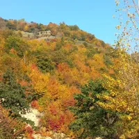 اجاره خانه،ویلا وسوئیت روستای چورت دریاچه میانشه|اجارهٔ کوتاهمدت ویلا و باغ|کیاسر, |دیوار