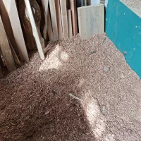 فروش پوشال چوب نجاری